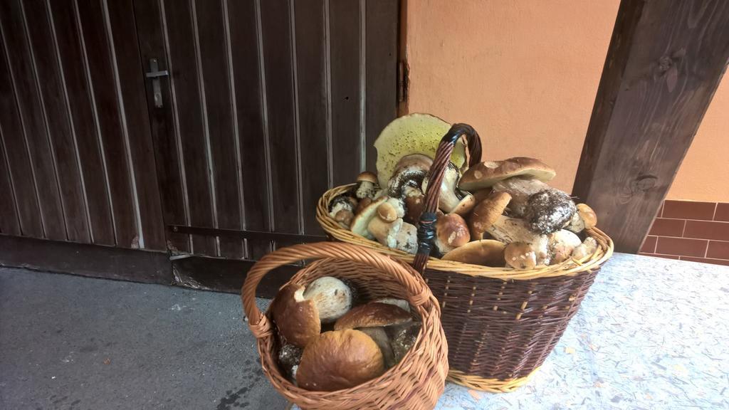 Penzion Jizerka Jablonec nad Nisou Dış mekan fotoğraf